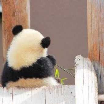 くろーばーちっぷのトーク