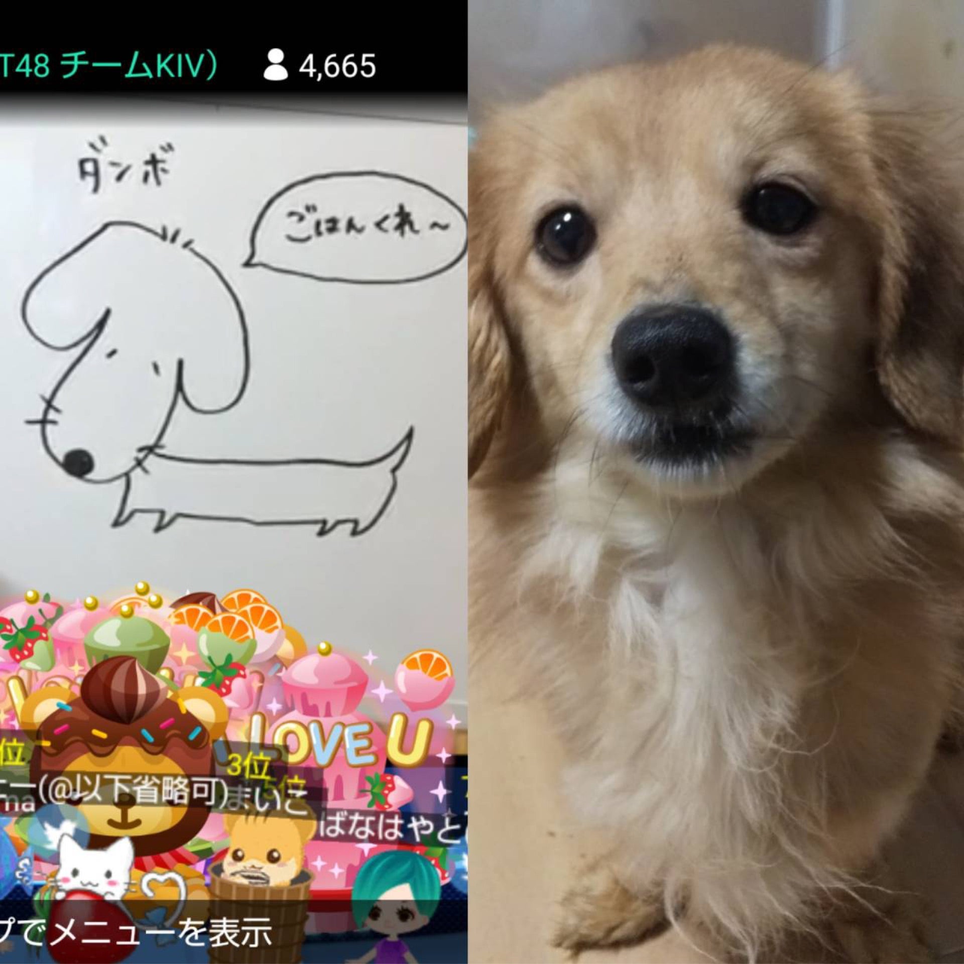 投稿画像