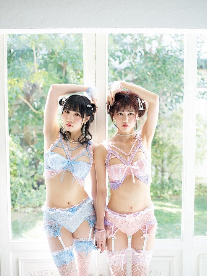 ニュース画像
