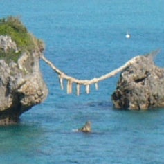 nagisaen