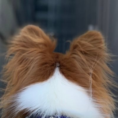 おやつまみれ◢⁴⁶