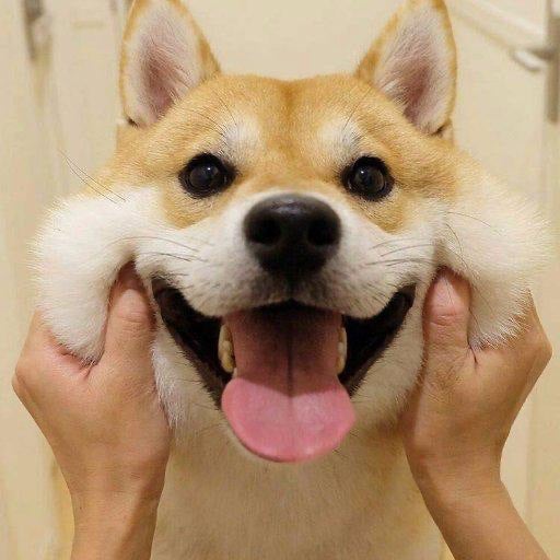 オレンジですよ！