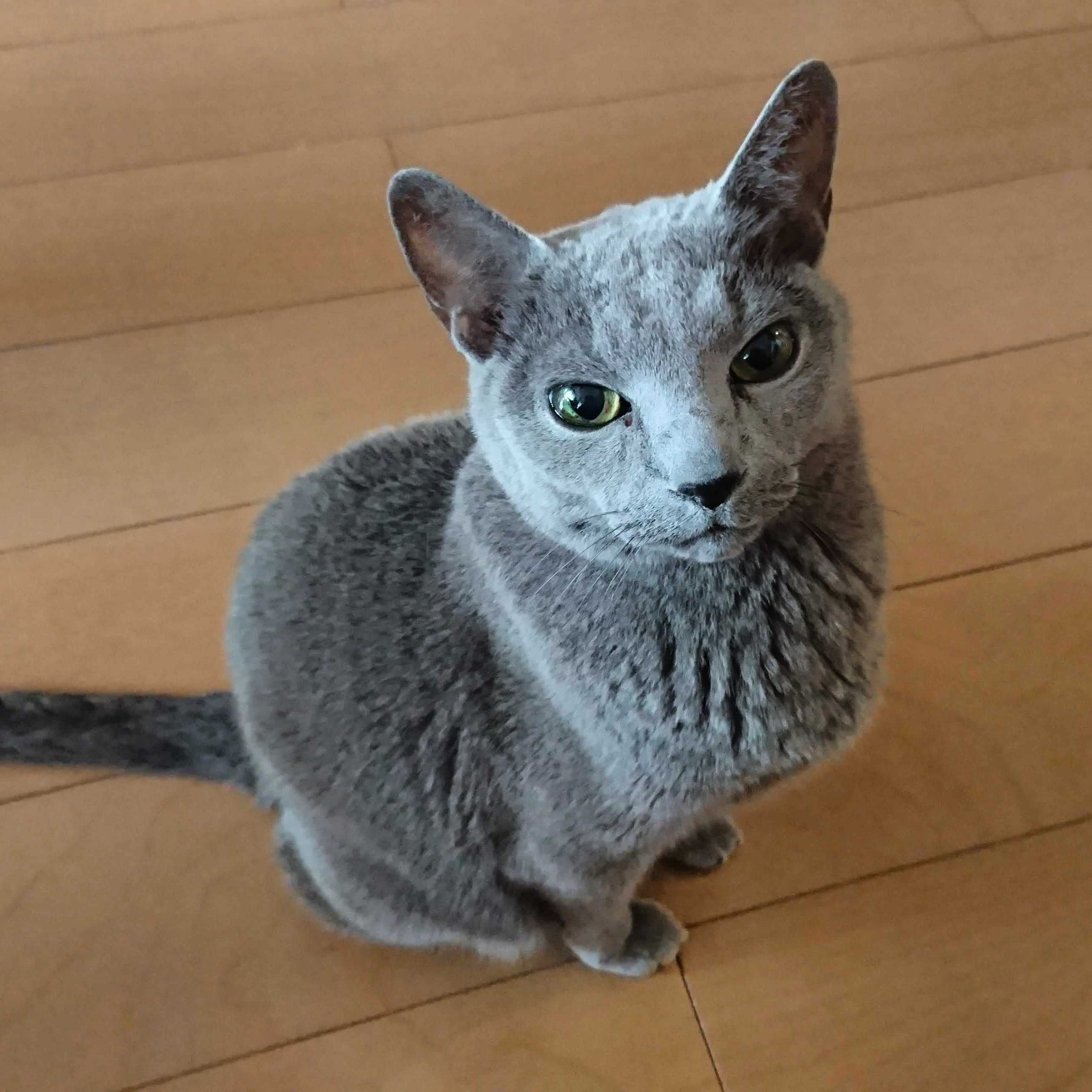 つか3(きりんちゃん)