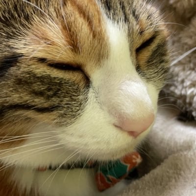 とも