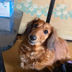 たかさんのトーク