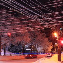 たけのこランプ