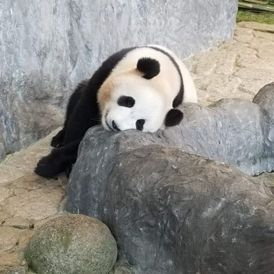キムくん 김상のトーク