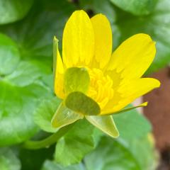 見城徹さんから学ぶ