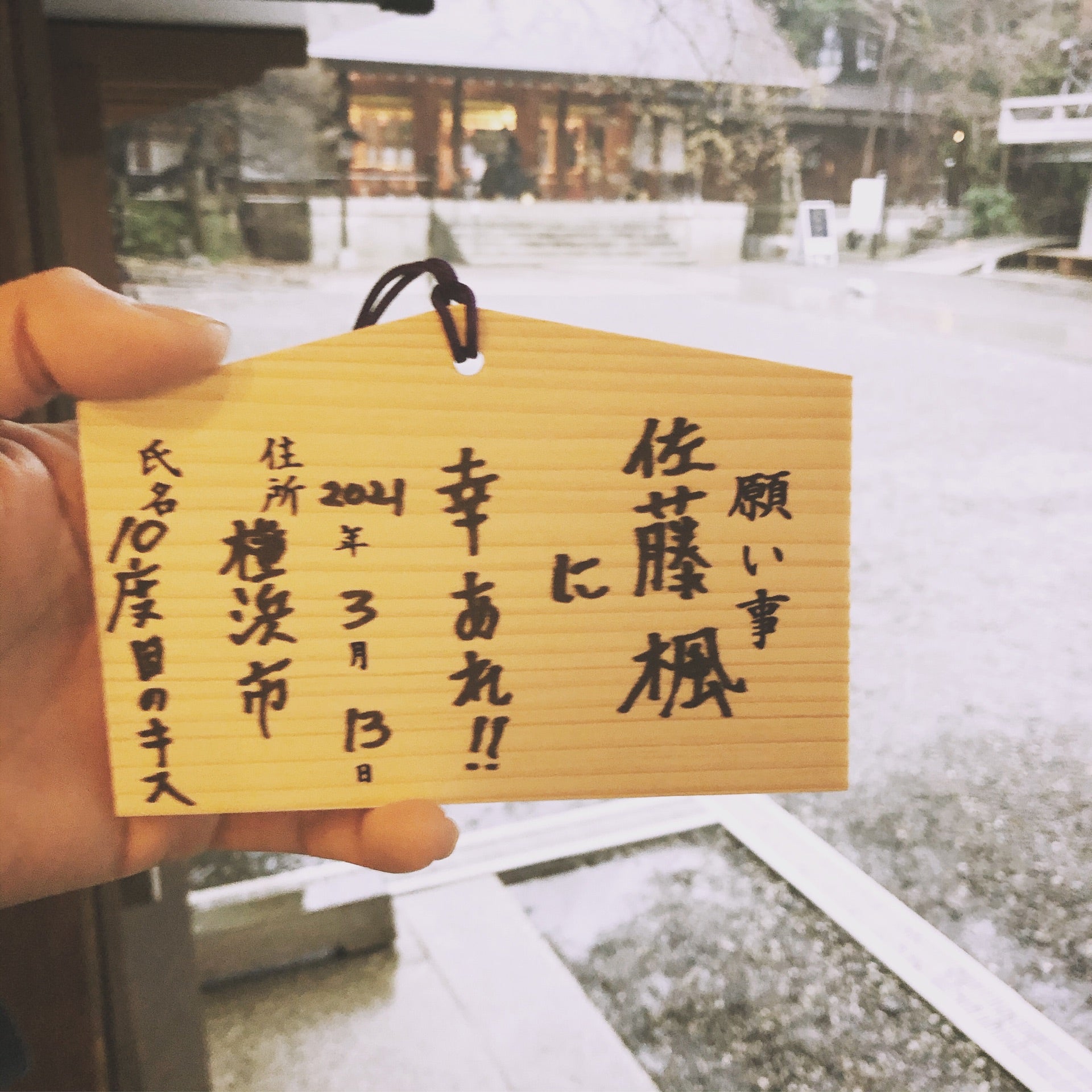 投稿画像