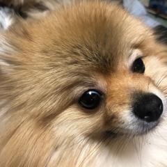 みっちゃん