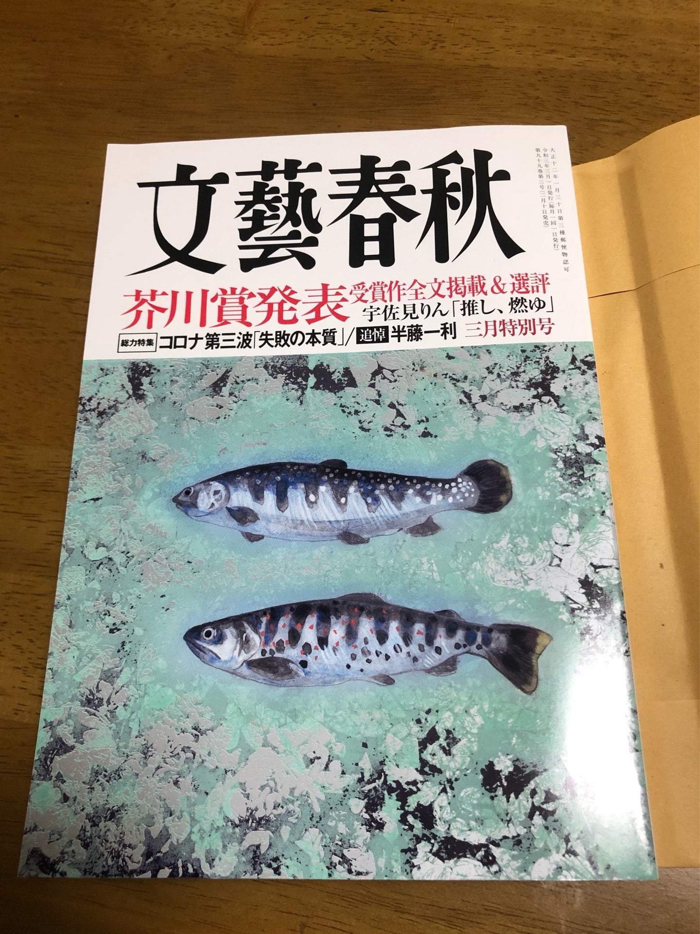 投稿画像