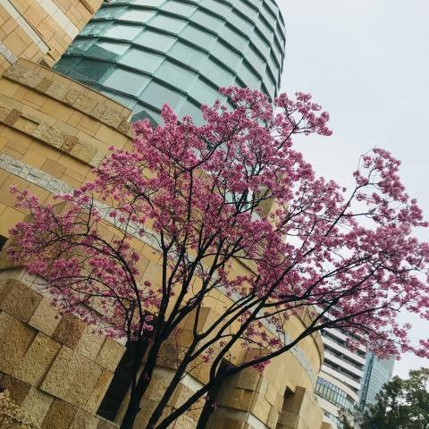 石田拓也イッシ－のトーク