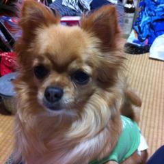 ♥️✮yumi✮♥️PA crew④