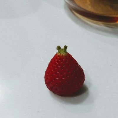 絃