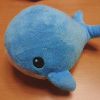 くじら