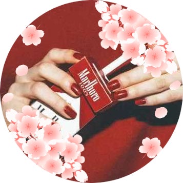 ひろさえ🌸✬おかえり桜