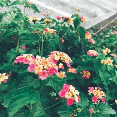 れがろのトーク