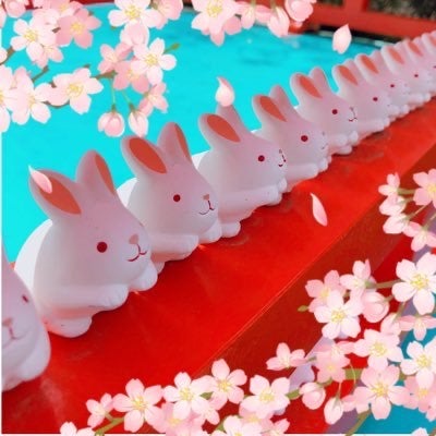 たけのこ໒꒱