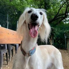 キュンのトーク