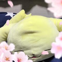 矢嶋伶羽(やじまりょう)