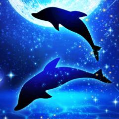 寺尾 謙二のトーク