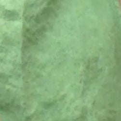 ばさしまる親方🐧