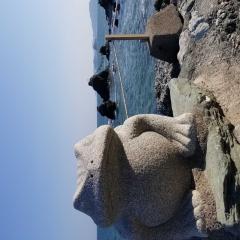 石田アゲハ