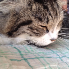 やっちょむ👻💖