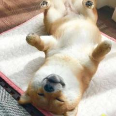 真