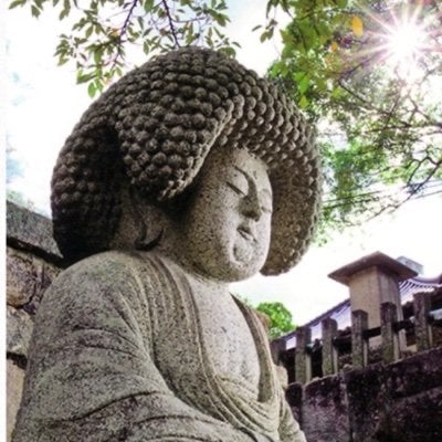 ミセスパンプキン