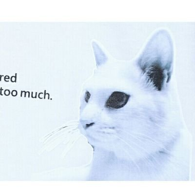 胡麻団子のトーク