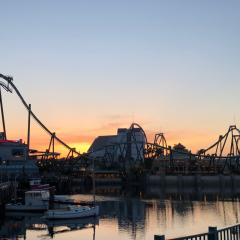 栄光のシャインバラム