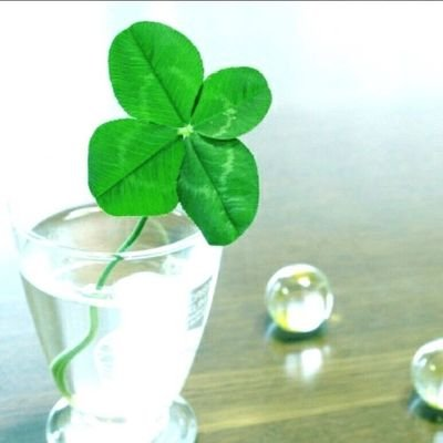 薔子 （しょうこ）のトーク