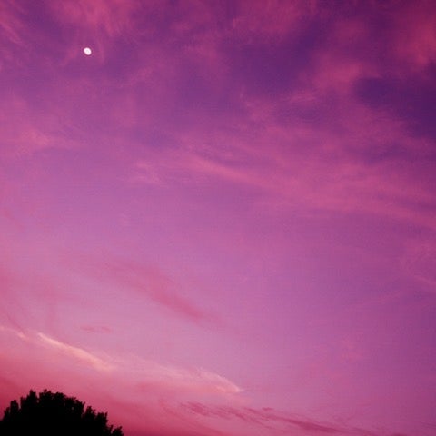 りょーたまんさんハウス