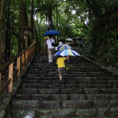 いかちゃん@カニフォート
