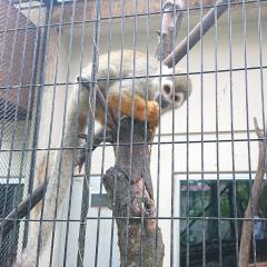 ぺちんのトーク