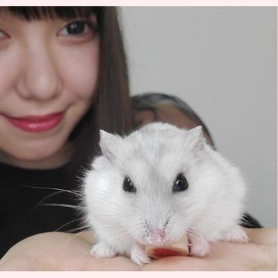 なちゃ。