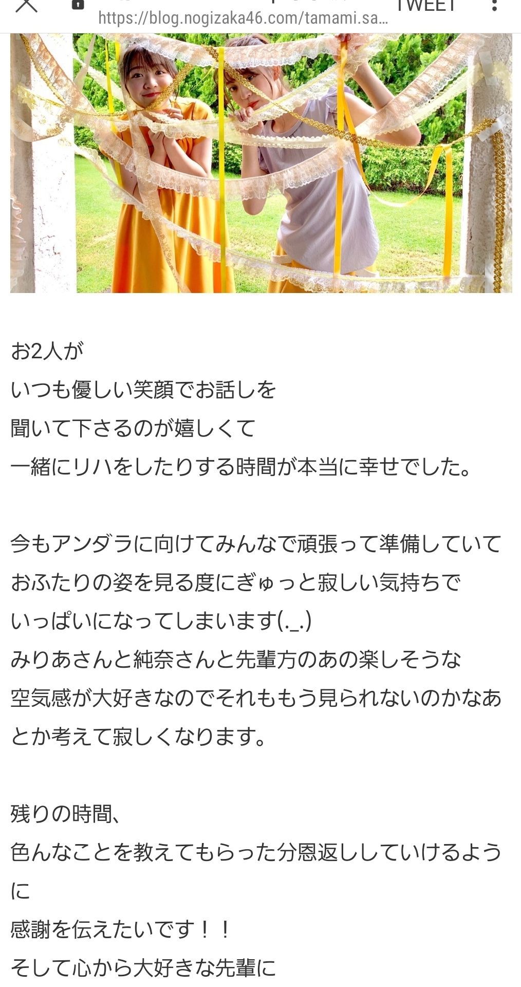 投稿画像
