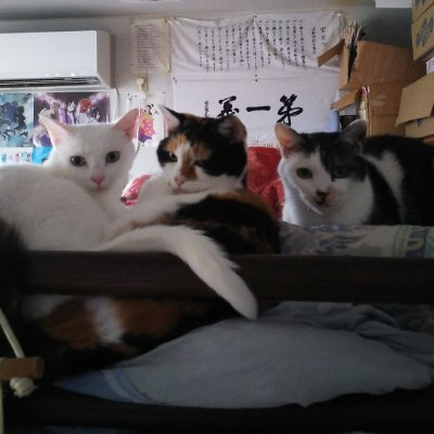 さいとうはじめ