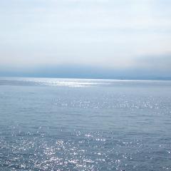 海について