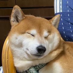 ぱずき