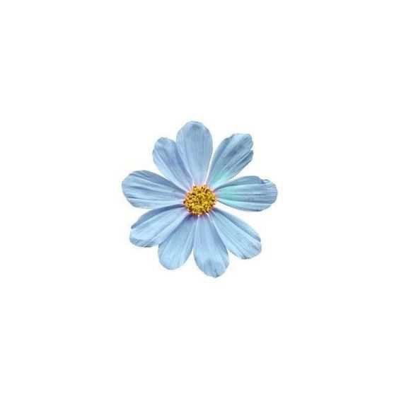 れいちゃん 〰️