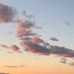 なほのおしゃべり部屋