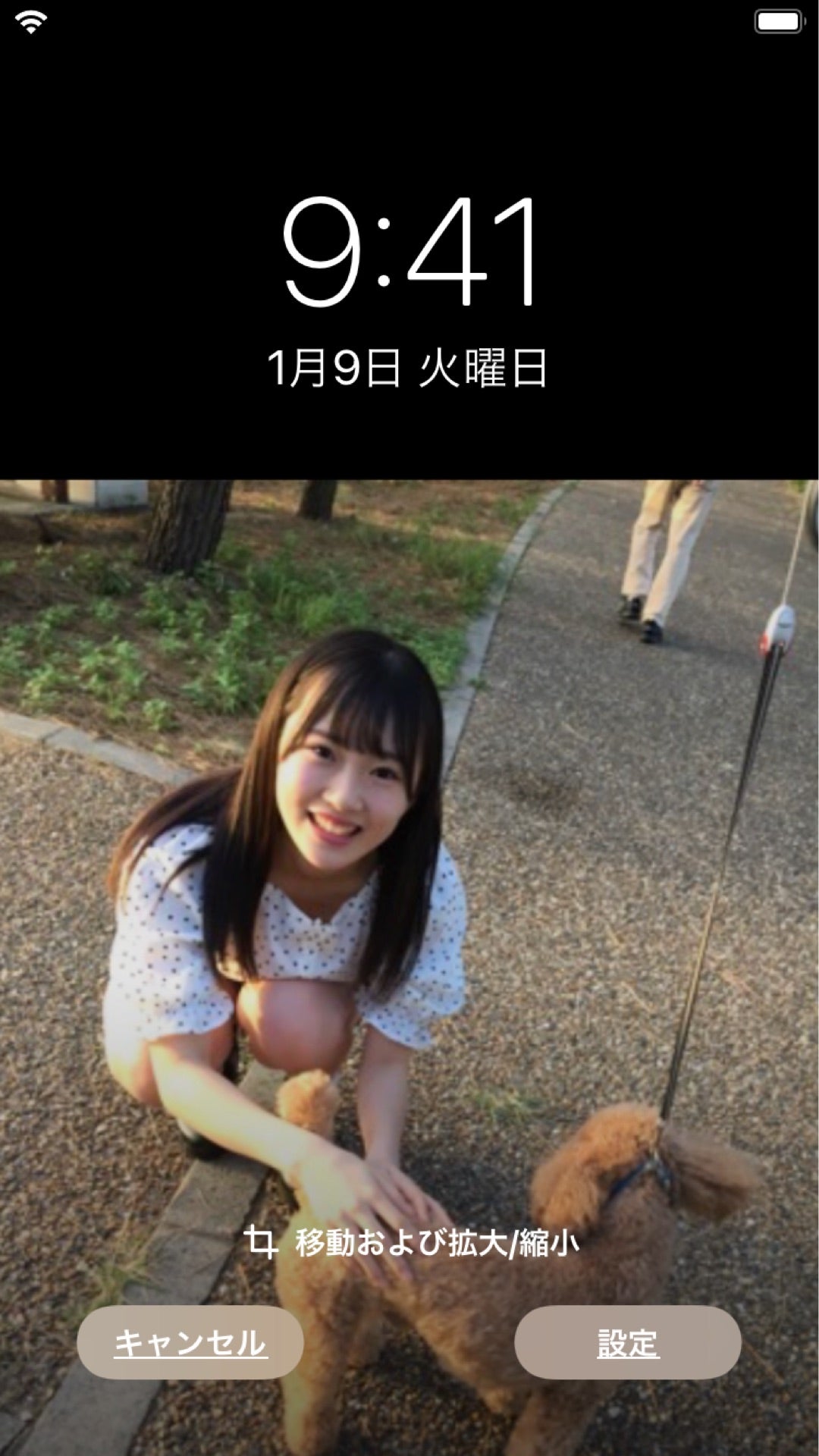 投稿画像