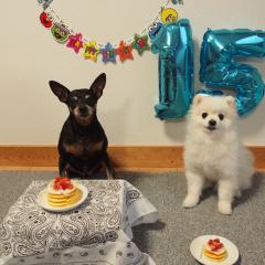 🎀毎日ラッキーずっきー🎀