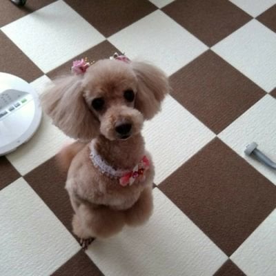 大山義勝のトーク