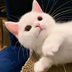 いつきちゃん