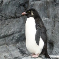 なおなおのトーク