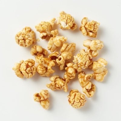 猫背ファミリー