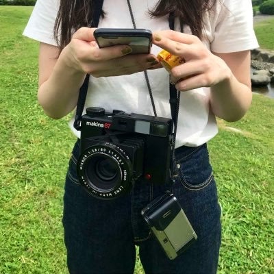 眠れるカモミール